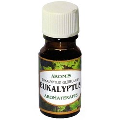 VONNÉ oleje do aromalamp Eukalyptus