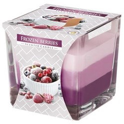 SVÍČKA vonná ve skle třibarevná Frozen Berries 170 g