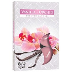 SVIČKA čajová vonná 6 ks v krabičce Vanilla + Orchid