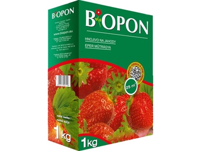 BOPON jahody a lesní jahody 1 kg